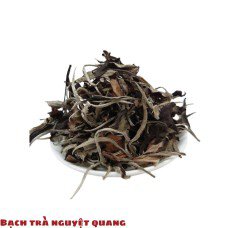 Bạch Trà Nguyệt Quang A - Trà Shan Tuyết Cổ Thụ 1 búp 1 lá Thượng Sơn (Hà Giang)